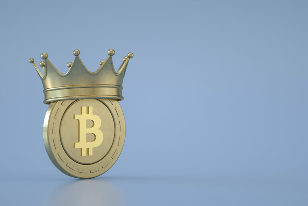 Rise of the Crypto Kings: Is Bitcoin Your Ticket to Wealth?